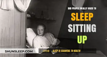 The Evolution of Sleep: Sitting Up to Slumber