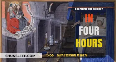 Unraveling the Myth: Did Our Ancestors Really Sleep in 4-Hour Blocks?