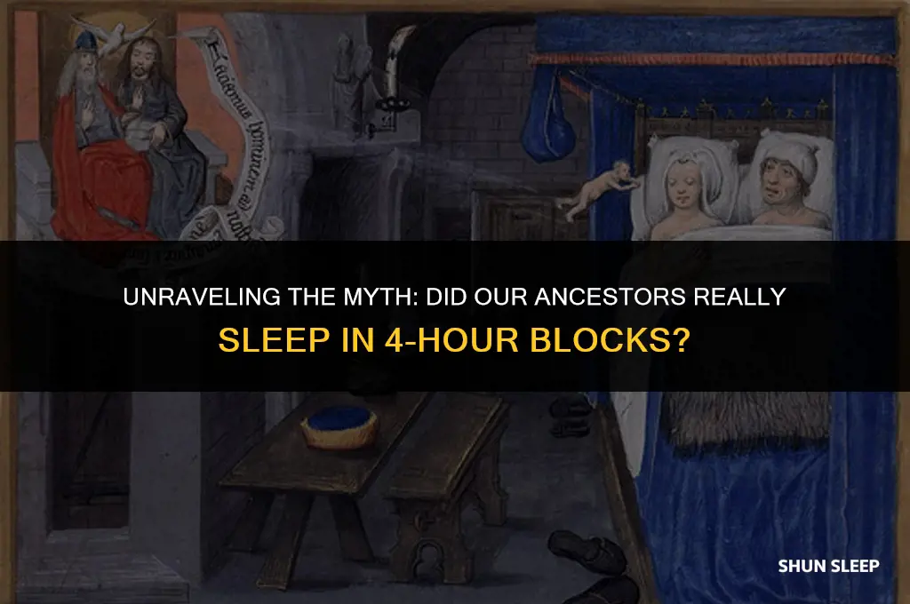 did people use to sleep in four hours