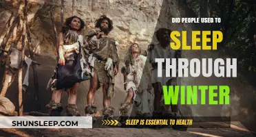 Winter Sleep: An Ancient Practice Explored