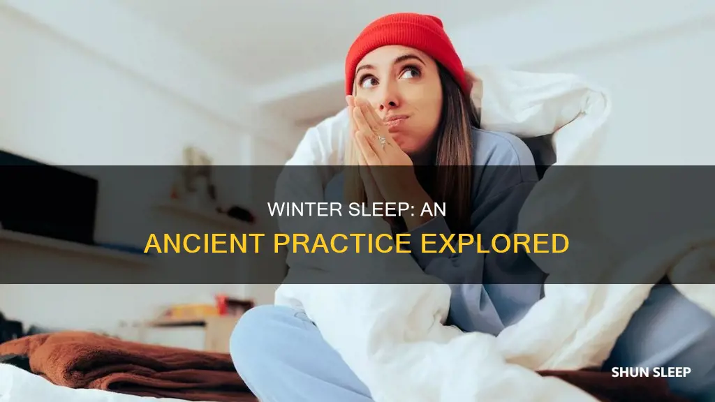 did people used to sleep through winter