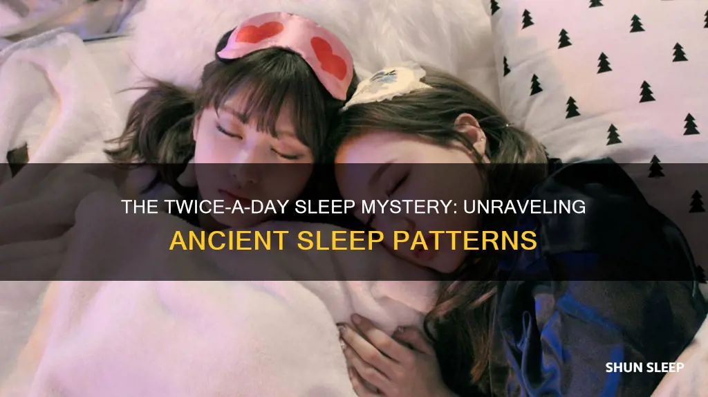 did people used to sleep twice