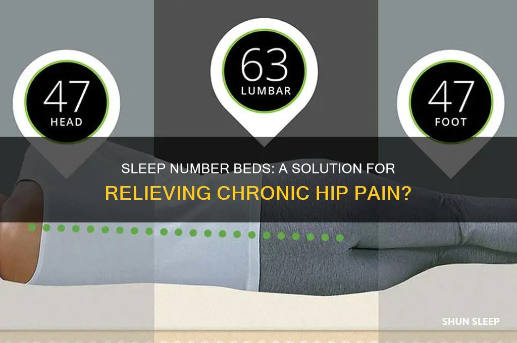 did sleep number help hip pain