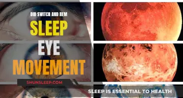 Switching Sleep: Eye Movement in REM and Non-REM Stages