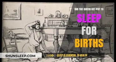 Queen's Anesthesia Use During Royal Births: Fact or Fiction?