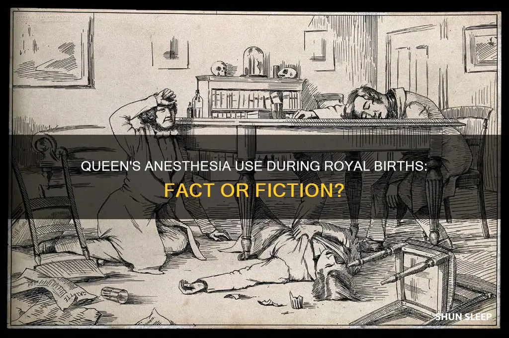 did the queen get put to sleep for births