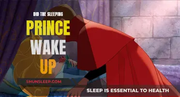 The Prince's Slumber: A Tale of Awakening