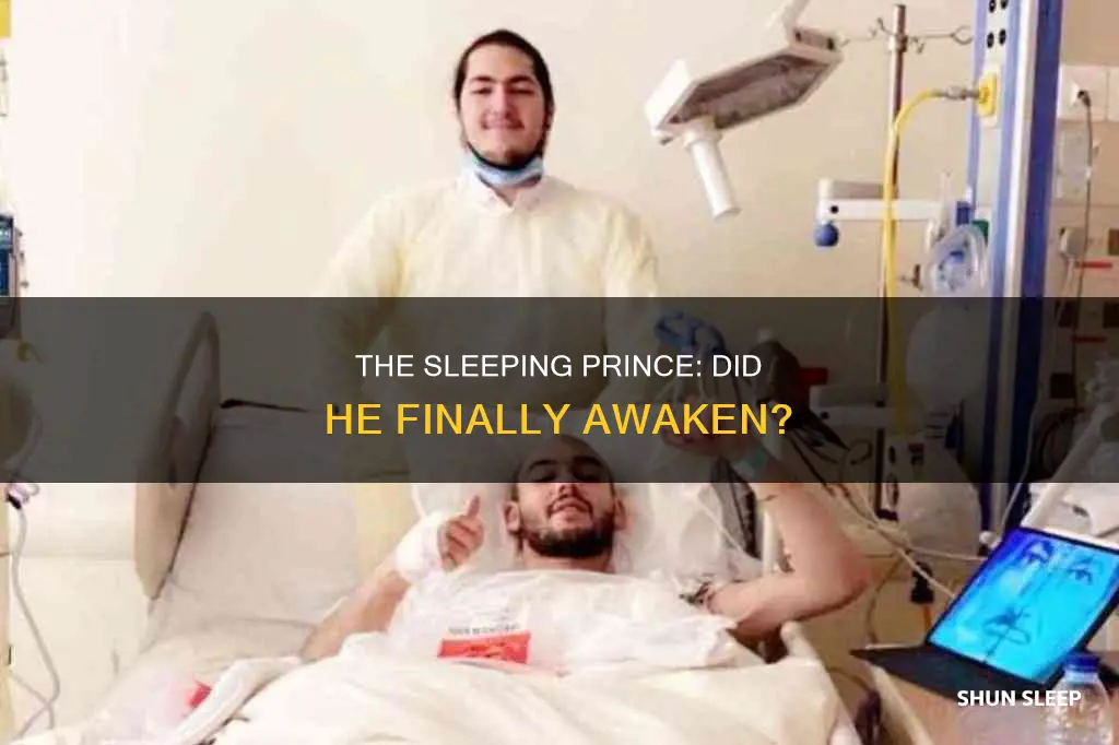 did the sleeping prince wake up