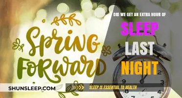 Spring Forward or Fall Back: Did We Really Get That Extra Hour?