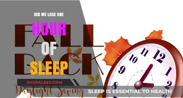 Spring Forward, Sleep Backward: The Daylight Saving Dilemma