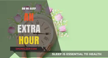 Spring Forward, Fall Back: The Daylight Saving Time Dilemma