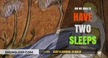 The Mystery of Our Ancestors' Double Sleep