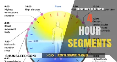 Unraveling the Myth: Did Our Ancestors Really Sleep in 4-Hour Segments?
