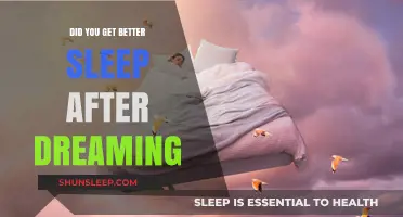 Dreaming and Rest: Does Recalling Dreams Enhance Sleep Quality?