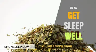 Did You Sleep Well? Unlocking the Secrets to Restful Nights