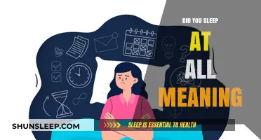 Understanding "Did You Sleep at All?