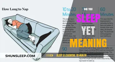 The Intriguing Meaning Behind "Did You Sleep Yet?