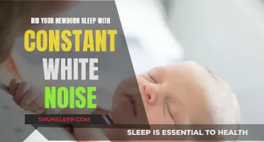 White Noise: A Newborn's Sleep Companion