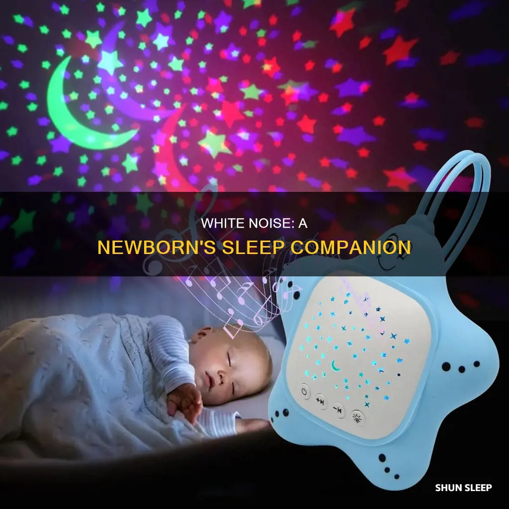 did your newborn sleep with constant white noise