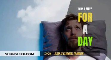 A Day Without Sleep: My 24-Hour Odyssey