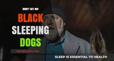 Sleeping Dogs: Why Mr. Black's Absence Keeps Players Guessing