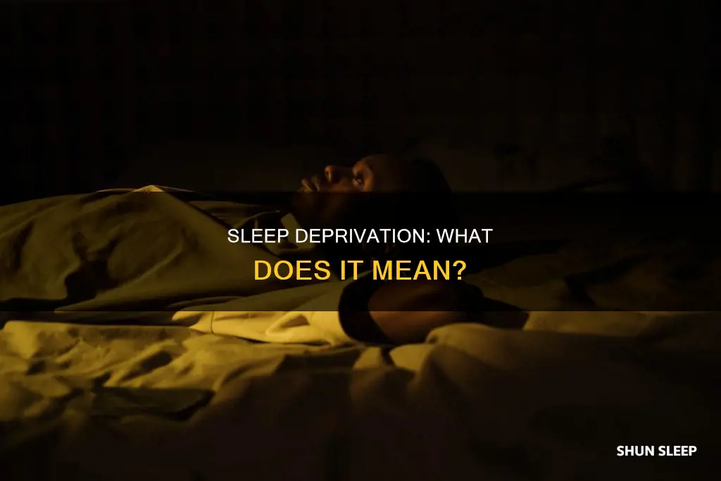 didn