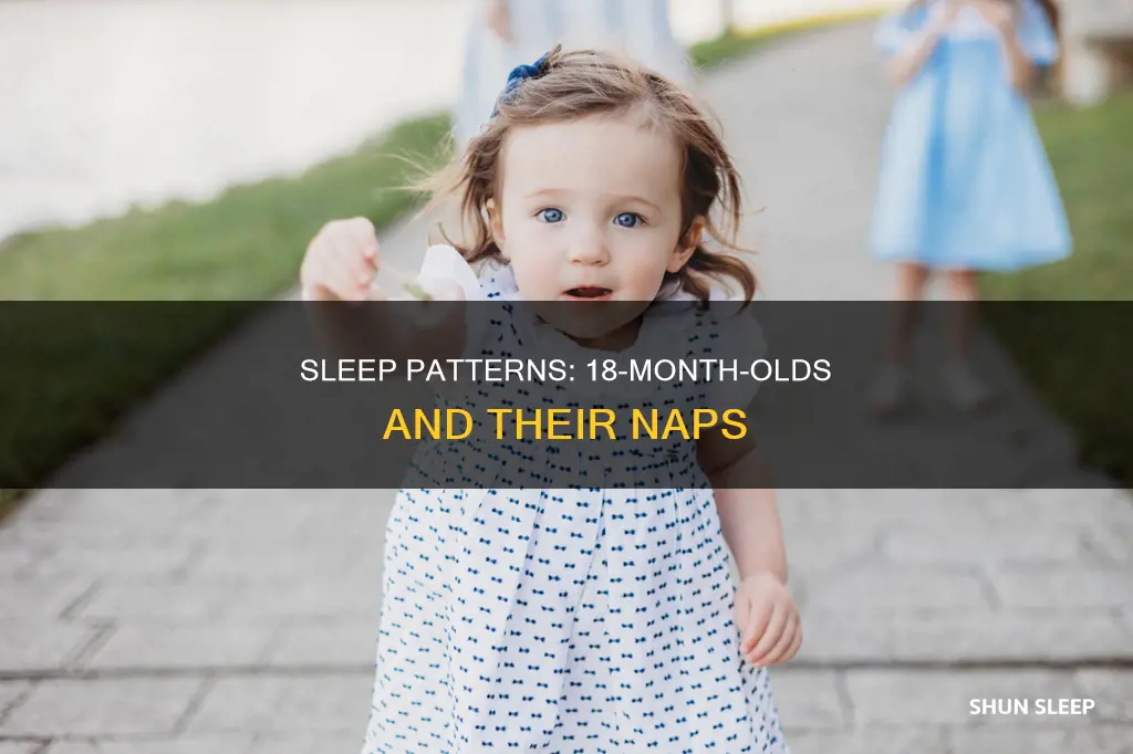 do 18 month old sleep more