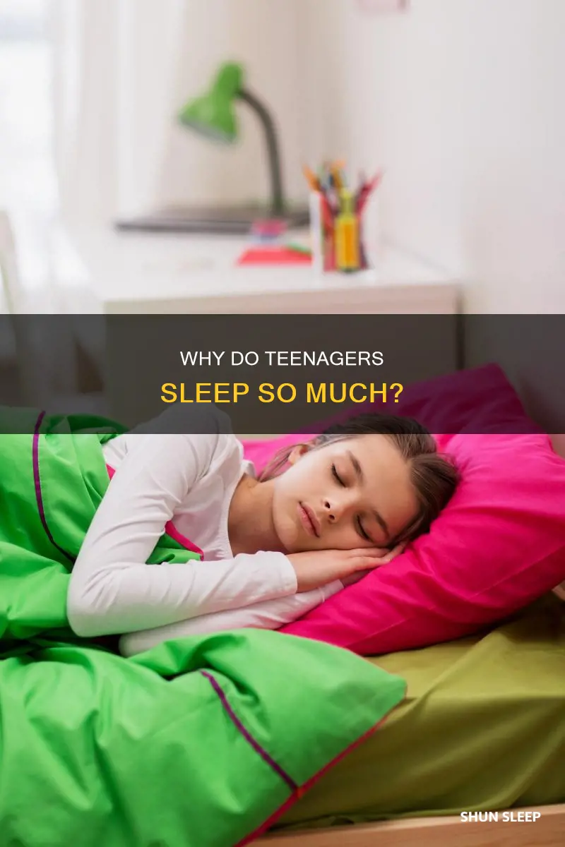 do 18 year olds sleep a lot