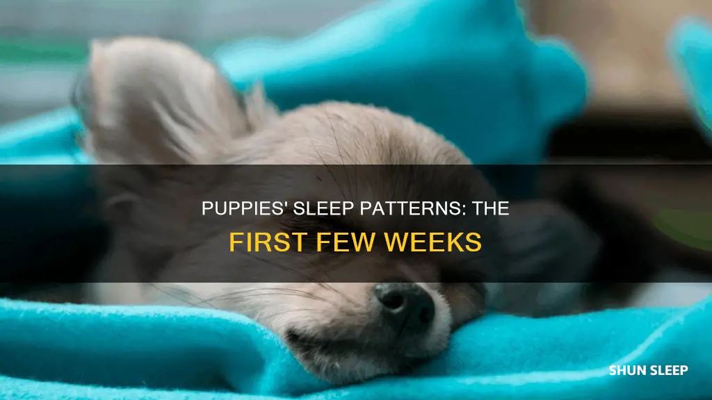 do 2 week old puppies sleep a lot