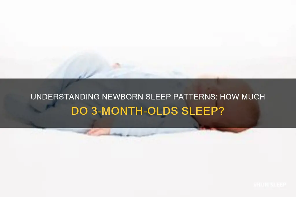 do 3 month old babies sleep a lot