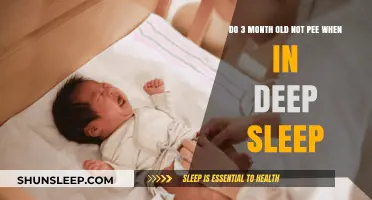 Deep Sleep and Diapers: Do Babies Pee?
