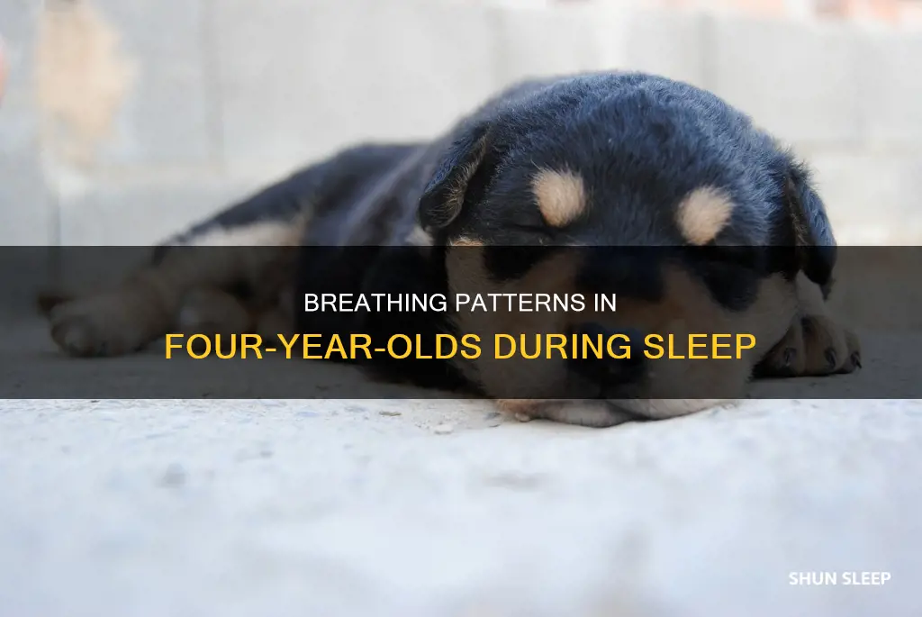 do 4 year old breathing fast while sleeping
