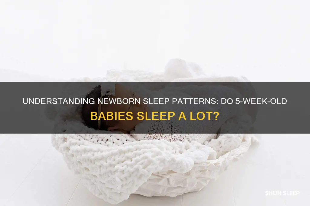 do 5 week old babies sleep a lot