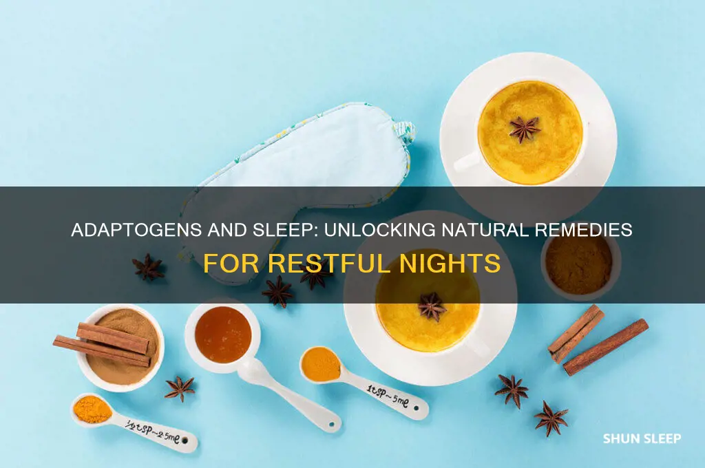 do adaptogens help you sleep
