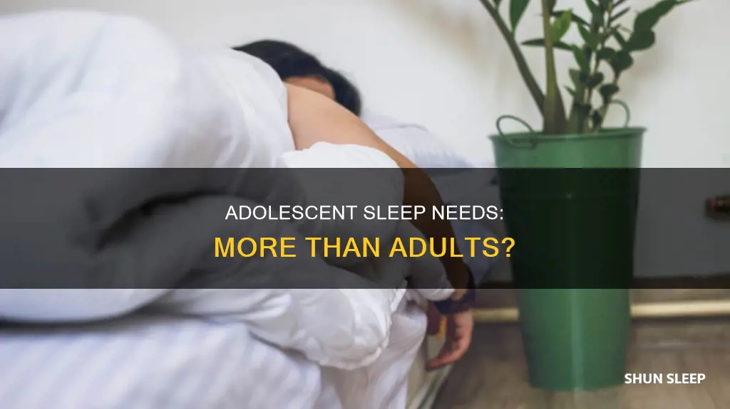 do adolescents need to sleep more than adultys