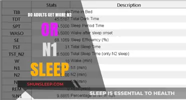 N1 vs. N2 Sleep: Which Stage Dominates Adult Rest?