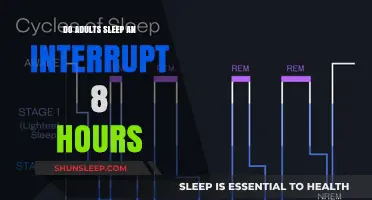 Uninterrupted Slumber: The Elusive 8-Hour Sleep for Adults