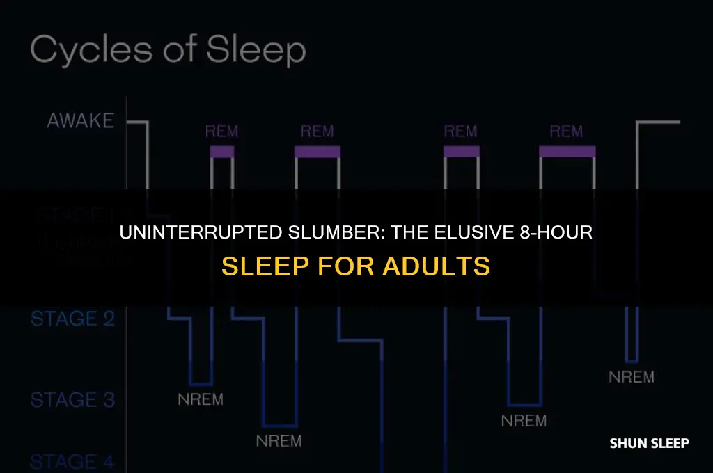 do adults sleep an interrupt 8 hours