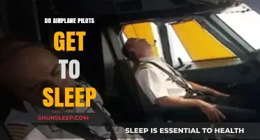 Do Pilots Sleep in the Cockpit? Unveiling Flight Crew Rest Secrets