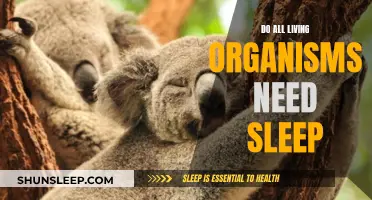 The Science of Sleep: Do All Living Organisms Need It?