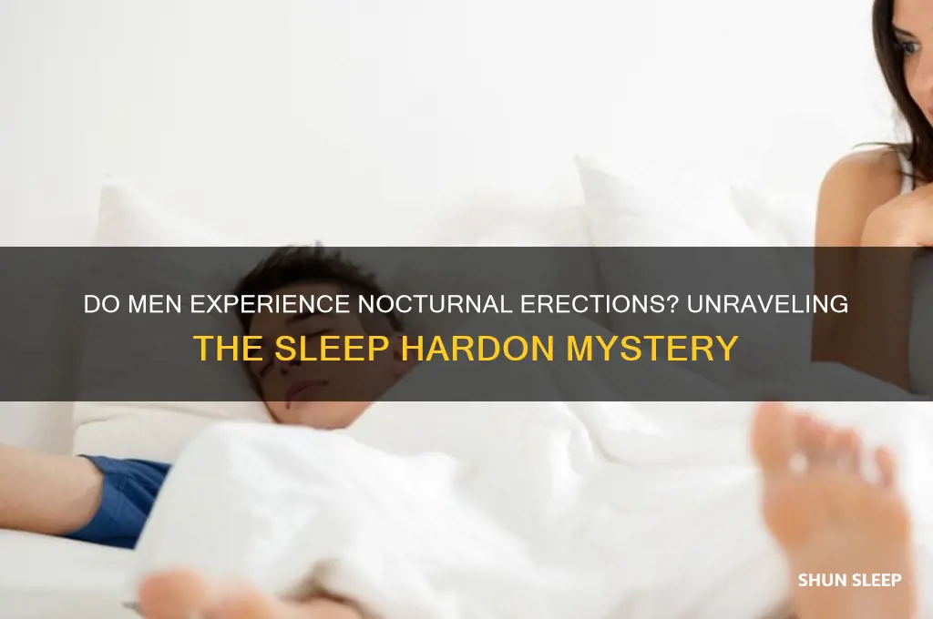do all men get hardons in their sleep