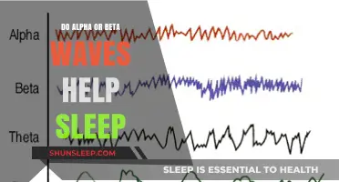 Alpha vs. Beta Waves: Which Brain Rhythm Enhances Sleep Quality?