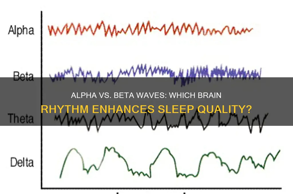 do alpha or beta waves help sleep