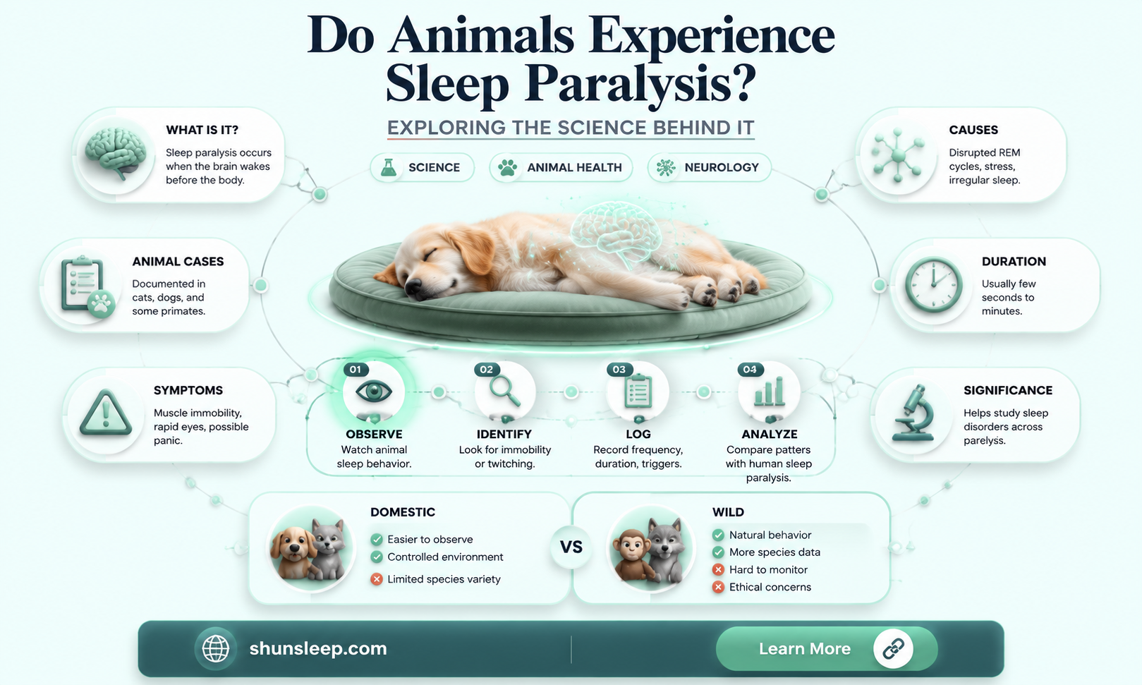 can animals get sleep paralysis