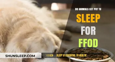 Do Animals Face Euthanasia for Food? Uncovering the Truth
