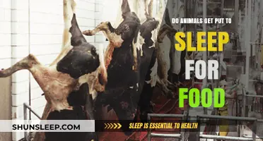 Understanding the Reality: Do Animals Get Put to Sleep for Food?