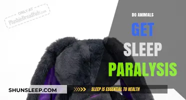Do Animals Experience Sleep Paralysis? Exploring the Science Behind It