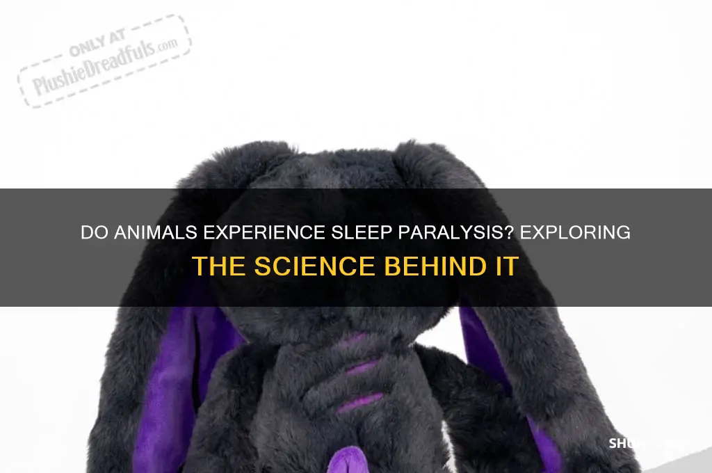 do animals get sleep paralysis