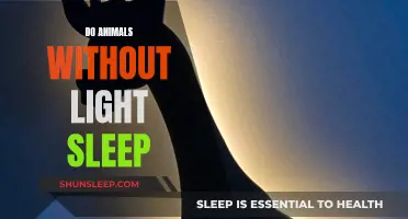 Animals Without Light Sleep: A Mystery Unveiled
